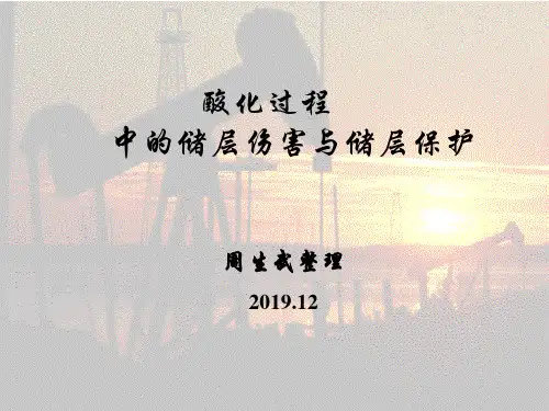 酸化过程中的储层伤害与储层保护