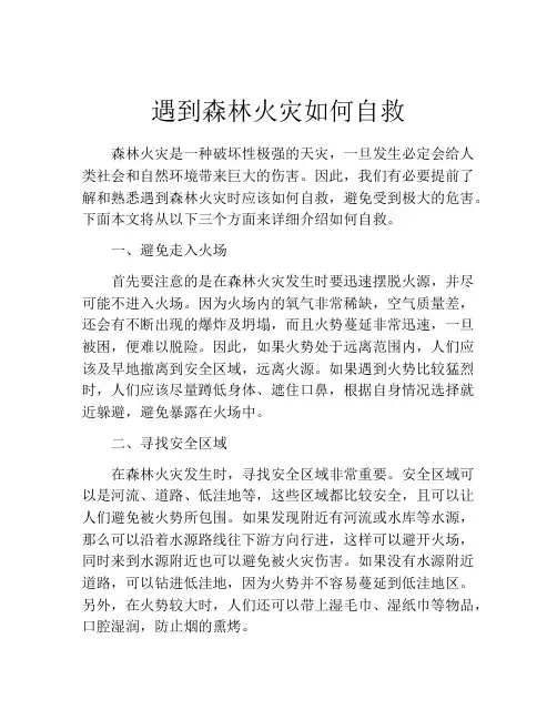 遇到森林火灾如何自救