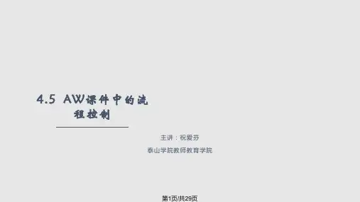 AW中流程控制PPT教学课件