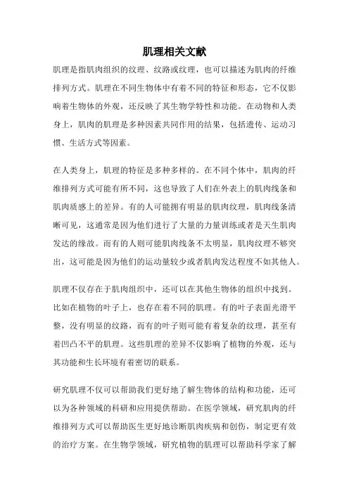 肌理相关文献