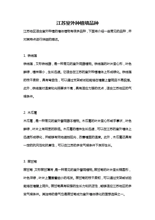 江苏室外种植墙品种