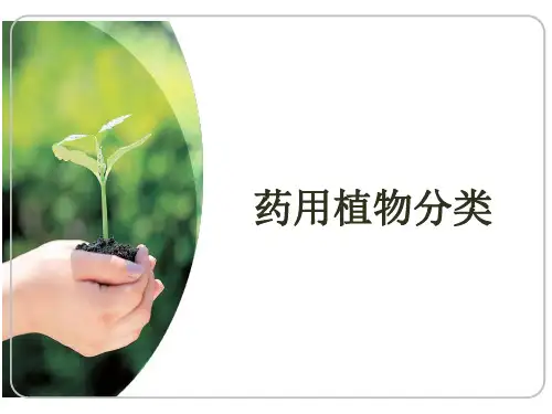 药用植物学课程教学课件：项目三任务一 药用植物分类基础知识