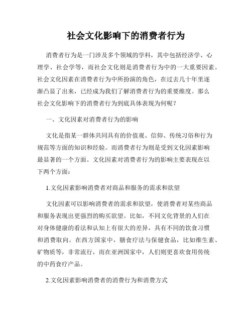 社会文化影响下的消费者行为