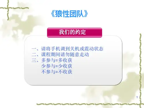 狼性团队_精品文档