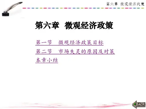 经济学原理第六章微观经济政策