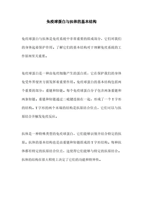 免疫球蛋白与抗体的基本结构