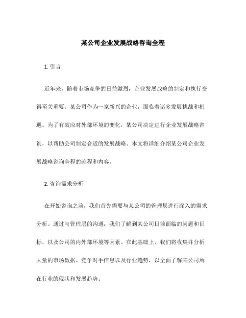 某公司企业发展战略咨询全程