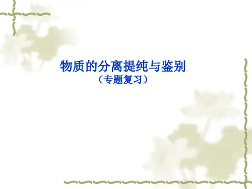 中考化学专题复习：物质的分离提纯和鉴别(共31张PPT)