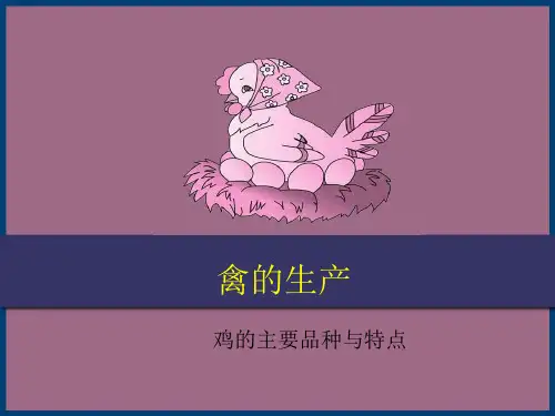鸡的主要品种与特点