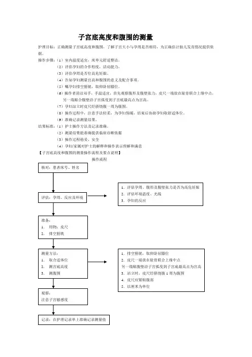 子宫底高度和腹围的测量