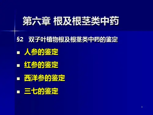 人 参 的 鉴 定PPT课件