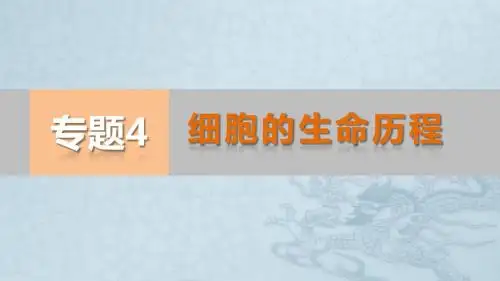 江苏省高考生物二轮复习 专题04 细胞的生命历程课件