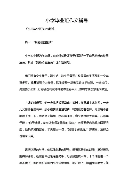 小学毕业班作文辅导