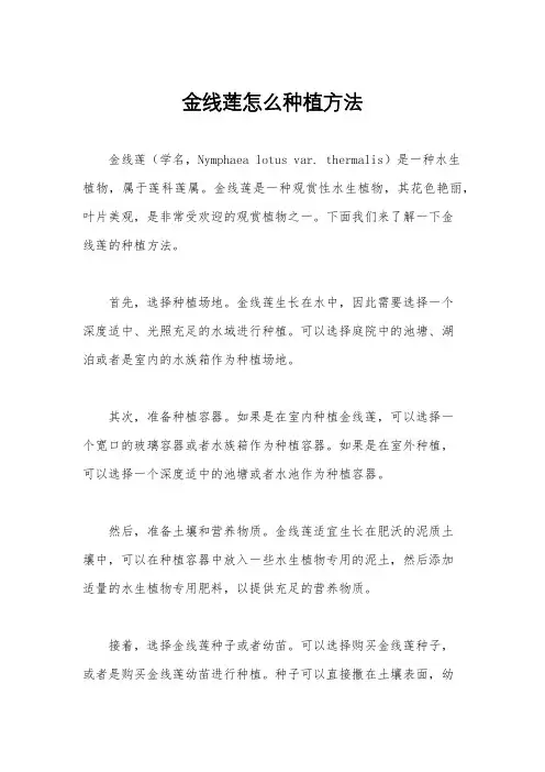 金线莲怎么种植方法