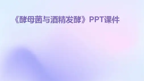 《酵母菌与酒精发酵》课件