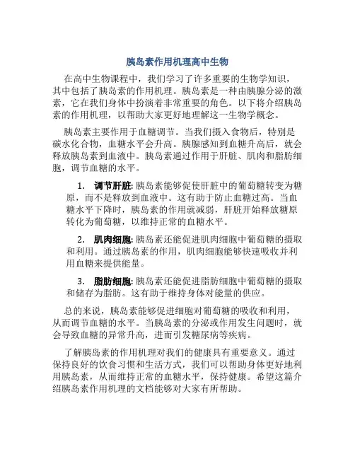 胰岛素作用机理高中生物