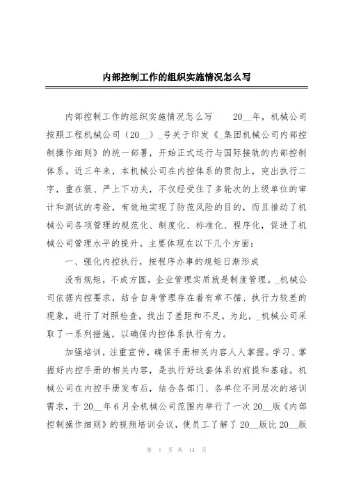 内部控制工作的组织实施情况怎么写