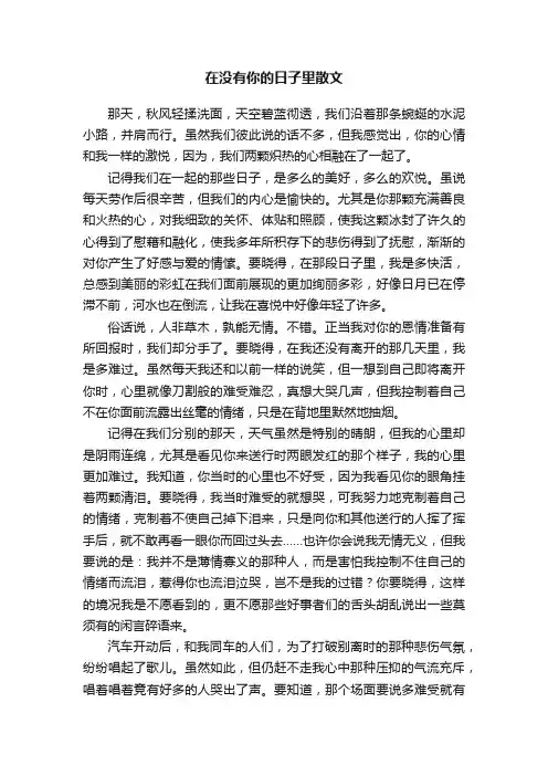 在没有你的日子里散文