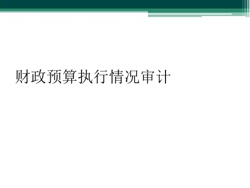 财政预算执行情况审计