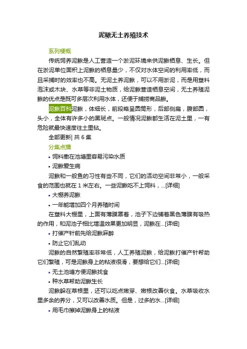 泥鳅无土养殖技术