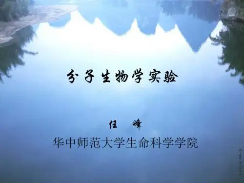 分子生物学实验(任峰)2011