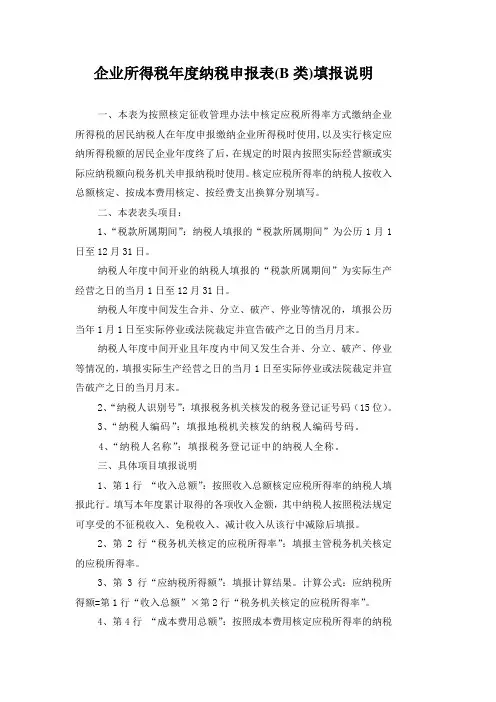 企业所得税年度纳税申报表(B类)填报说明