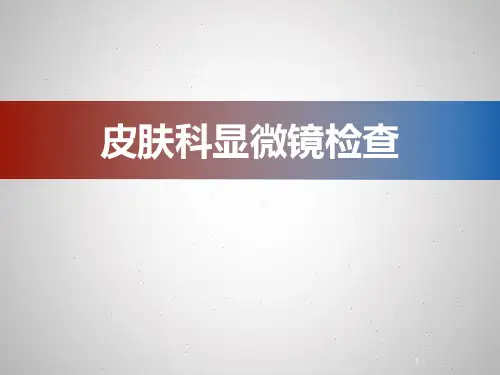 皮肤科显微镜检查ppt课件