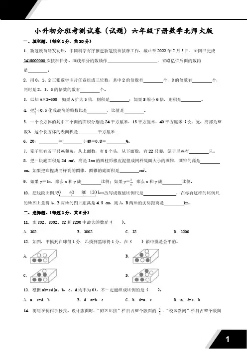 小升初分班考测试卷(试题)(含答案)2023-2024学年六年级下册数学北师大版