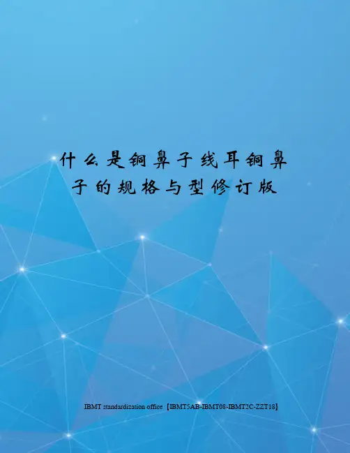 什么是铜鼻子线耳铜鼻子的规格与型修订版