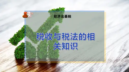 税收与税法的相关知识
