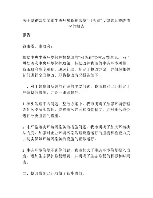 关于贯彻落实某市生态环境保护督察“回头看”反馈意见整改情况的报告