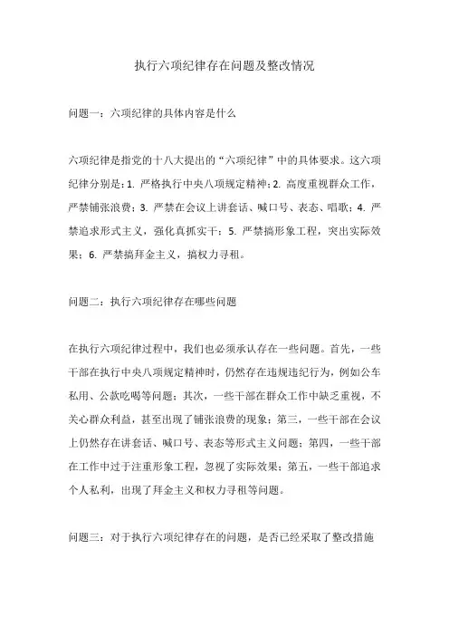 执行六项纪律存在问题及整改情况