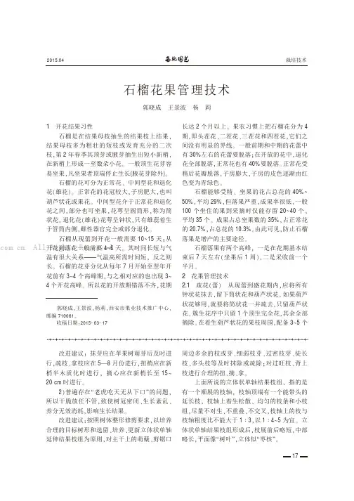 石榴花果管理技术