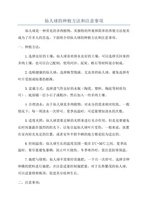仙人球的种植方法和注意事项