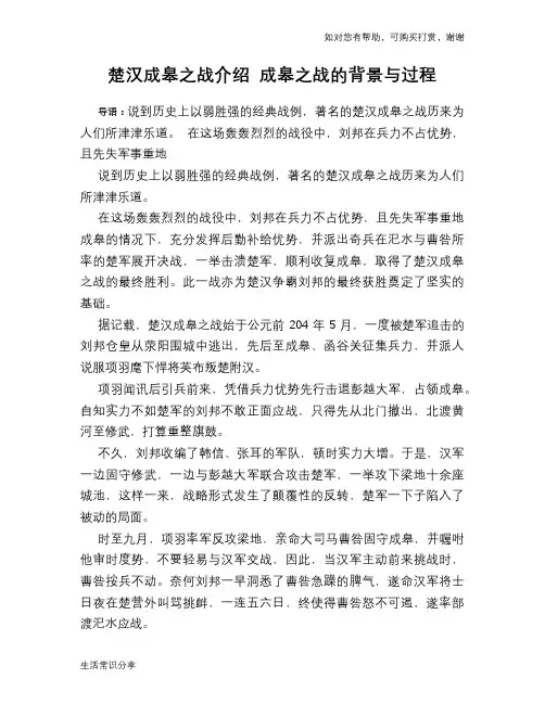 历史趣谈楚汉成皋之战介绍 成皋之战的背景与过程