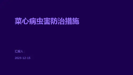 菜心病虫害防治措施