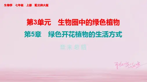 2019年秋七年级北师大版生物上册课件：第5章 章末总结 (共26张PPT)