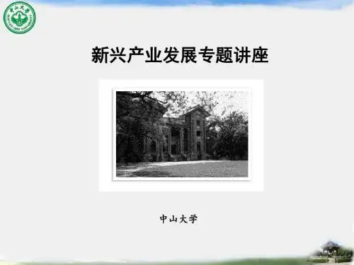 新兴产业发展专题讲座.ppt