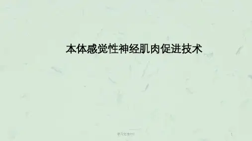 PNF技术ppt课件
