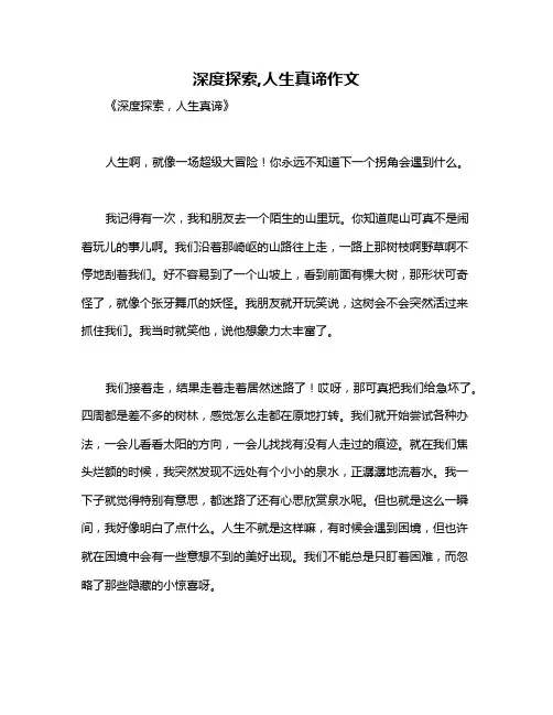 深度探索,人生真谛作文