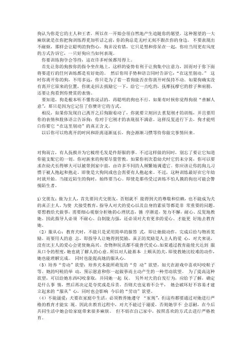 狗认为你是它的主人和王者