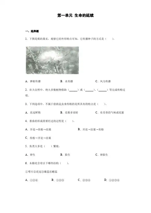 粤教版2021-2022学年科学四年级上册第一单元 生命的延续单元测试( 含答案) 