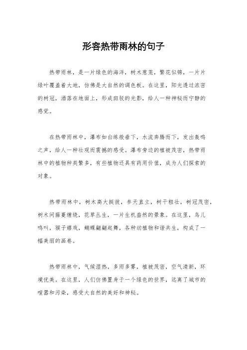 形容热带雨林的句子