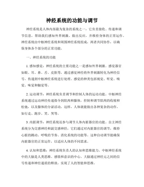 神经系统的功能与调节