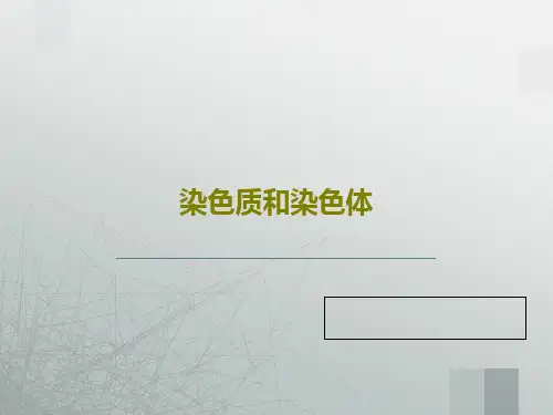 染色质和染色体78页PPT