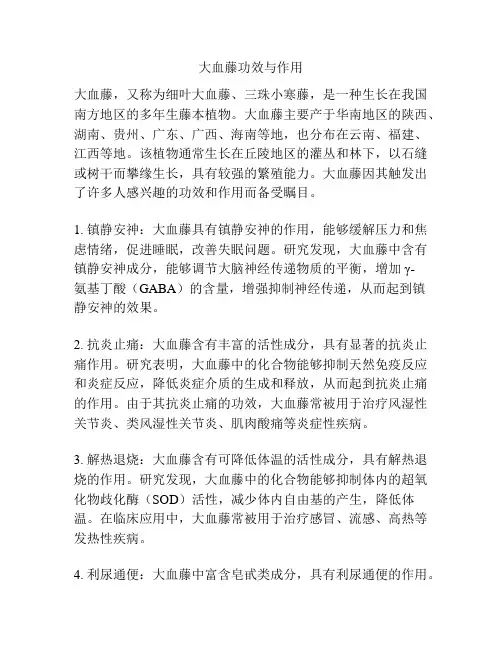 大血藤功效与作用