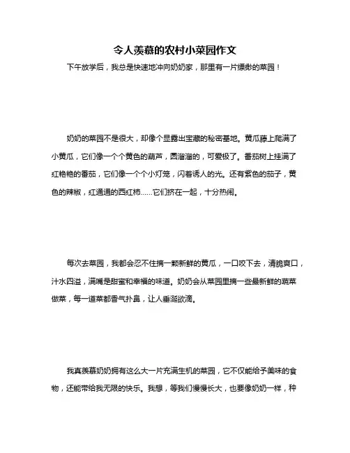 令人羡慕的农村小菜园作文