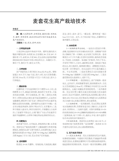 麦套花生高产栽培技术
