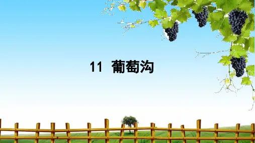 统编版二年级语文上册11 葡萄沟 课件(共35张PPT)