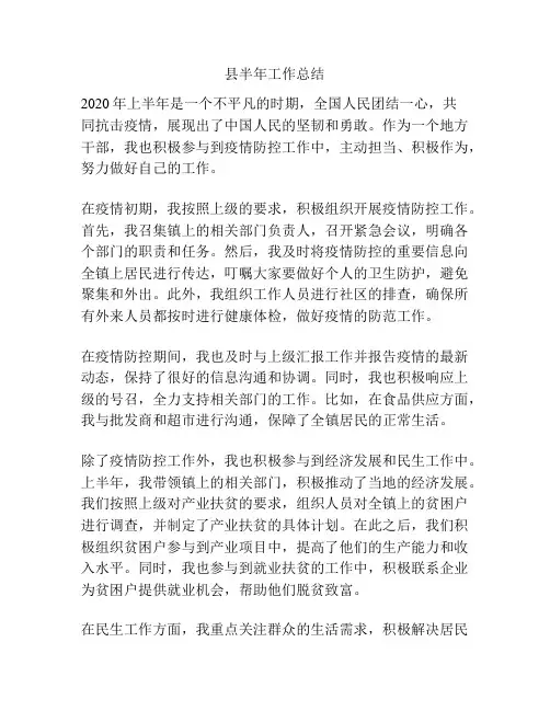 县半年工作总结